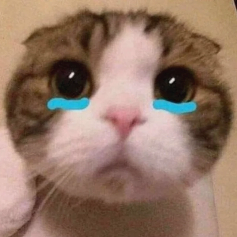 meme khóc cute Jerry rơi lệ