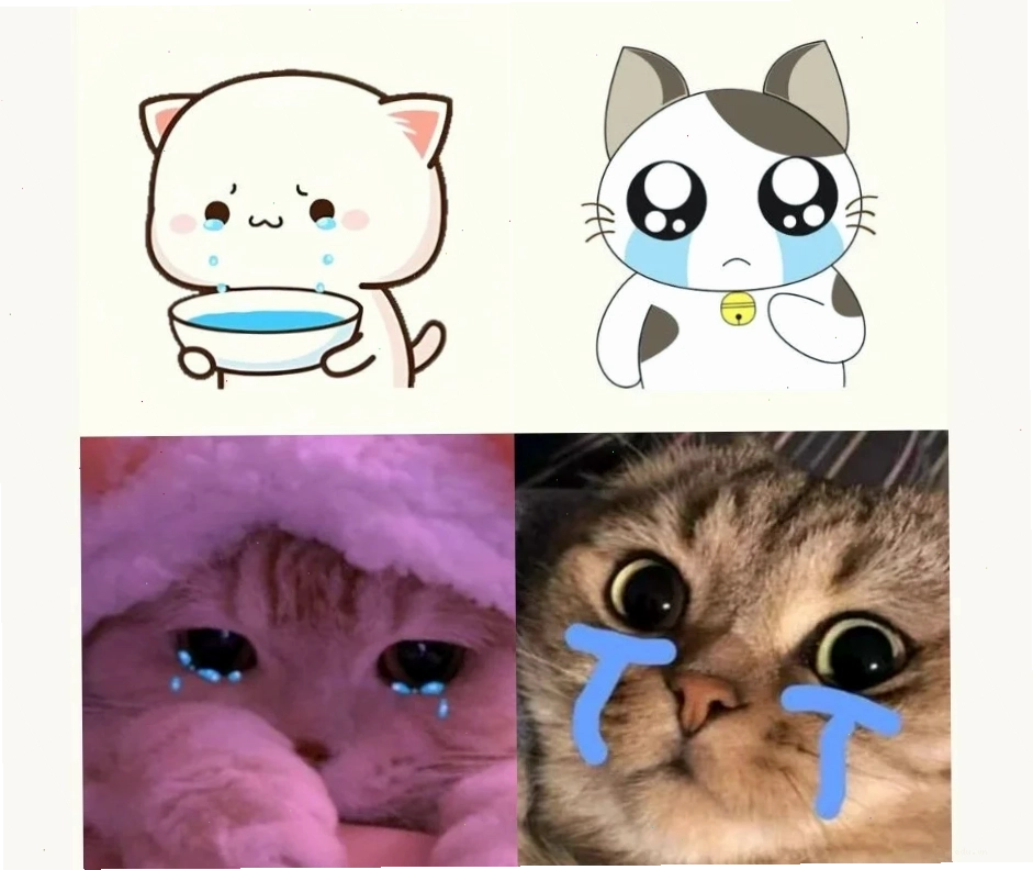 meme khóc cute suy sụp