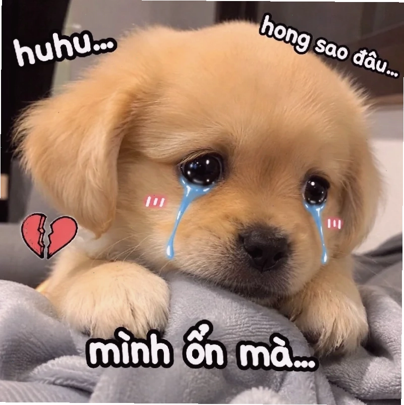 meme khóc cute thất vọng
