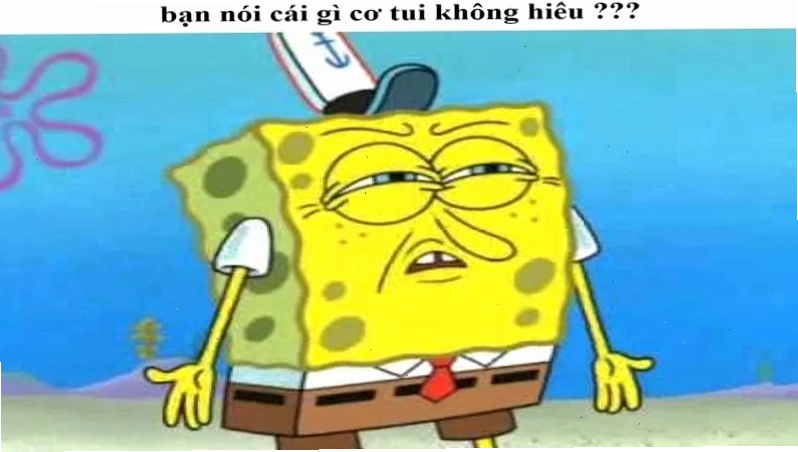 meme không hiểu