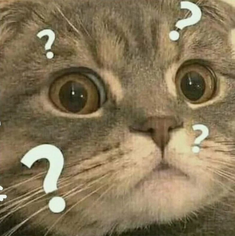 meme không hiểu