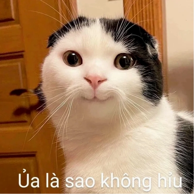 meme không hiểu