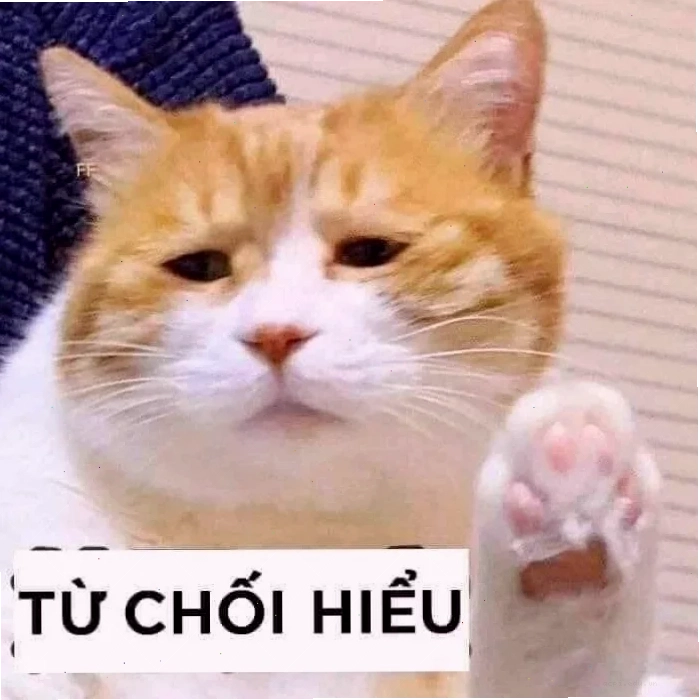 meme không hiểu
