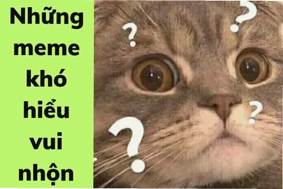 meme không hiểu