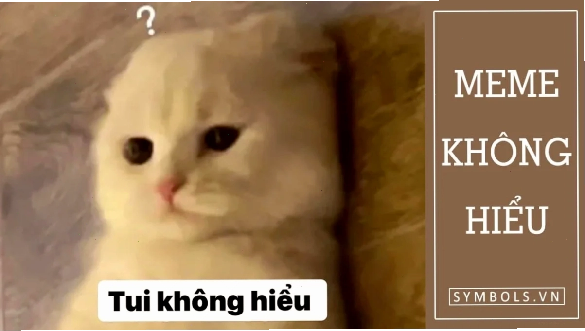 meme không hiểu