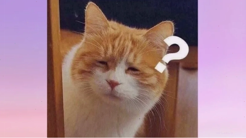 meme không hiểu