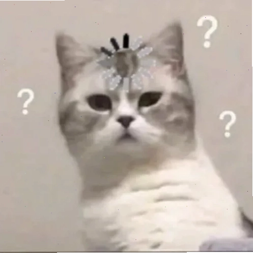 meme không hiểu
