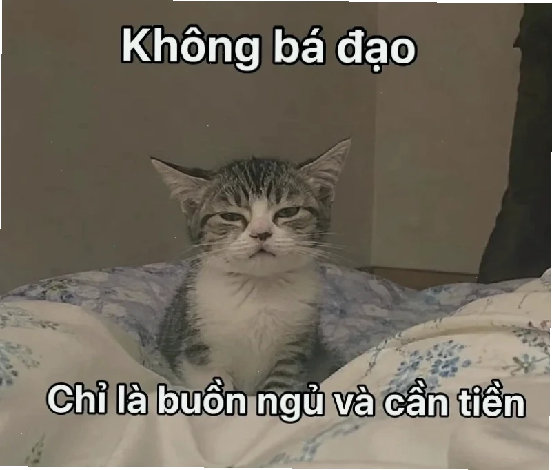 meme không hiểu