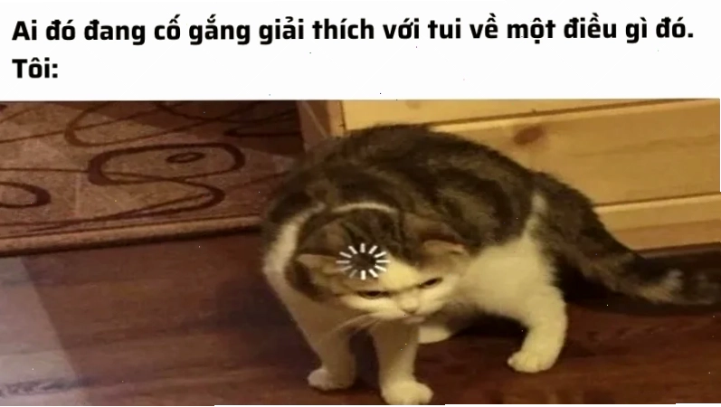 meme không hiểu