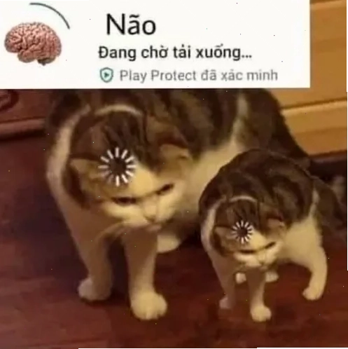 meme không não buổi sáng