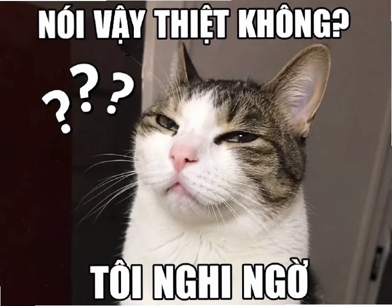 meme không não đơ