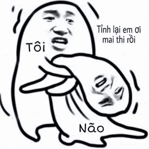meme không não hài hước