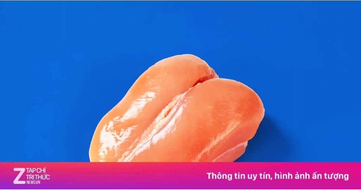meme không não hết não