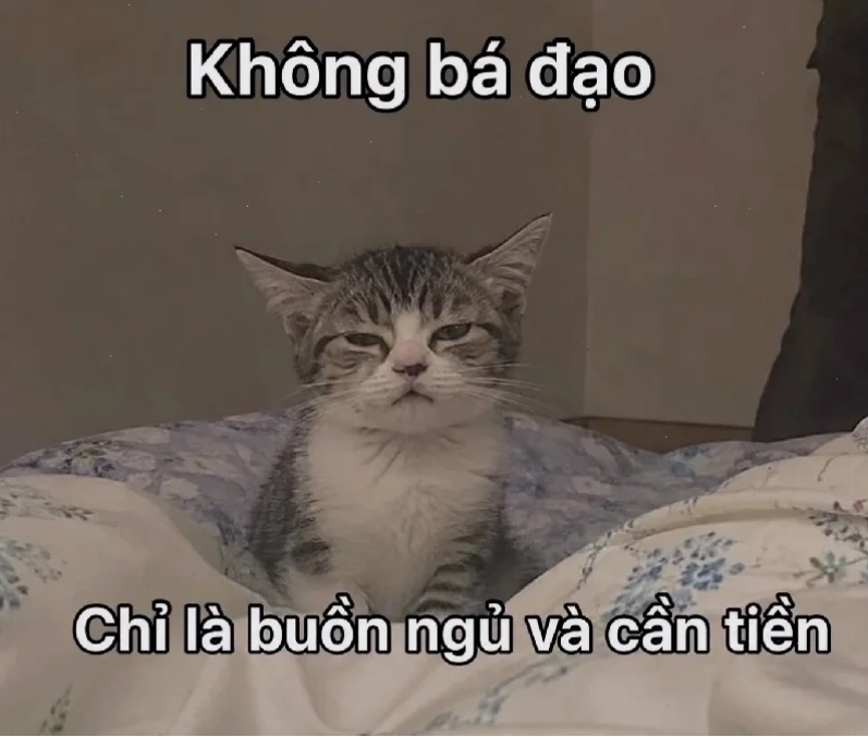 meme không não logic