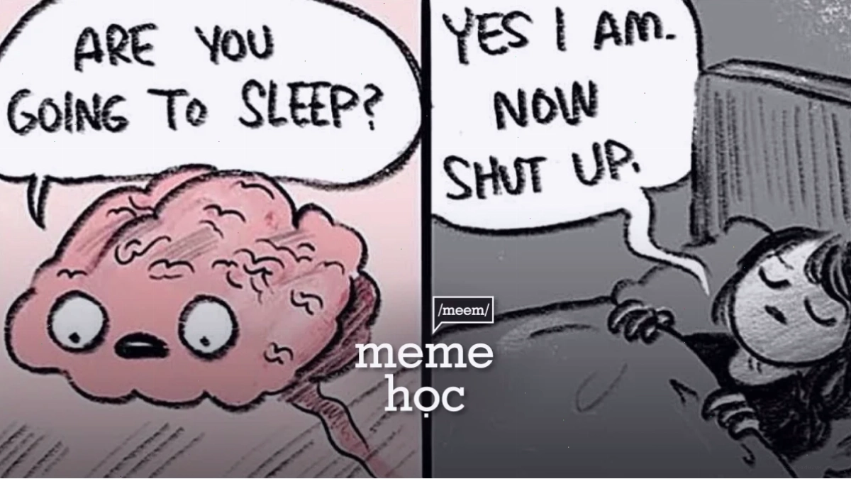 meme không não mày ko có não