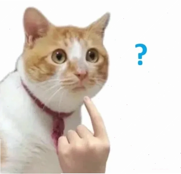 meme không não miệng hoạt động