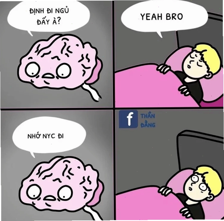 meme không não ngơ ngác