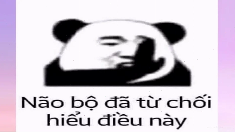 meme không não rối trí