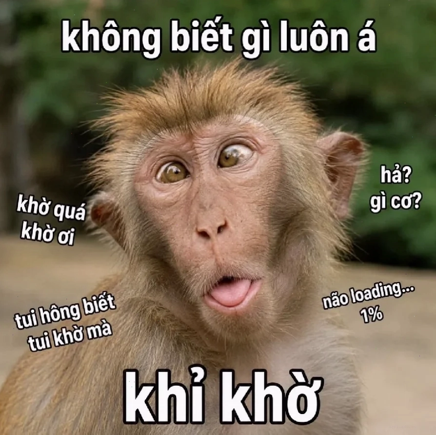 meme không não tự tin