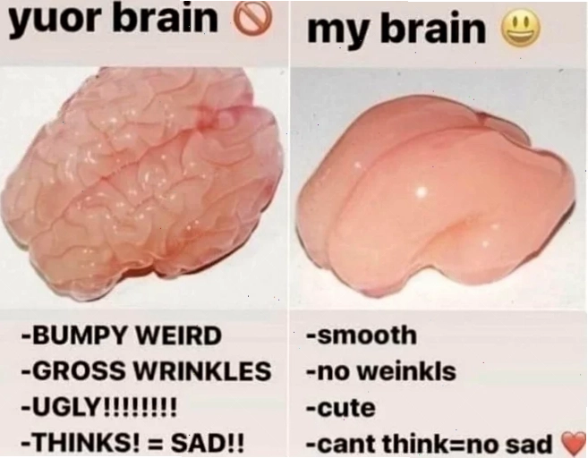 meme không não vô tri