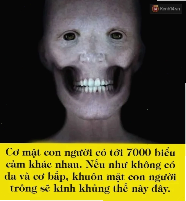 meme kinh tởm