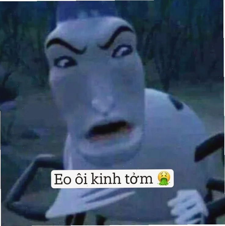 meme kinh tởm