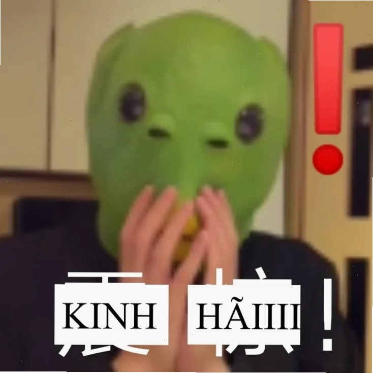 meme kinh tởm
