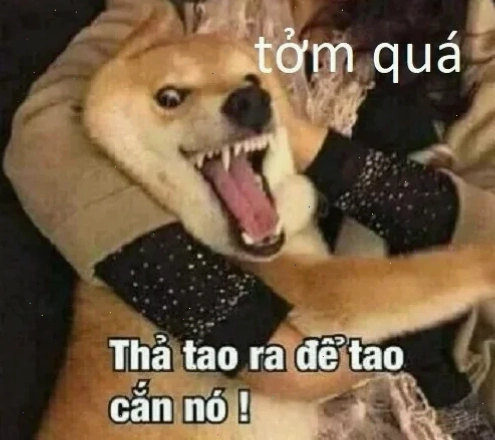 meme kinh tởm