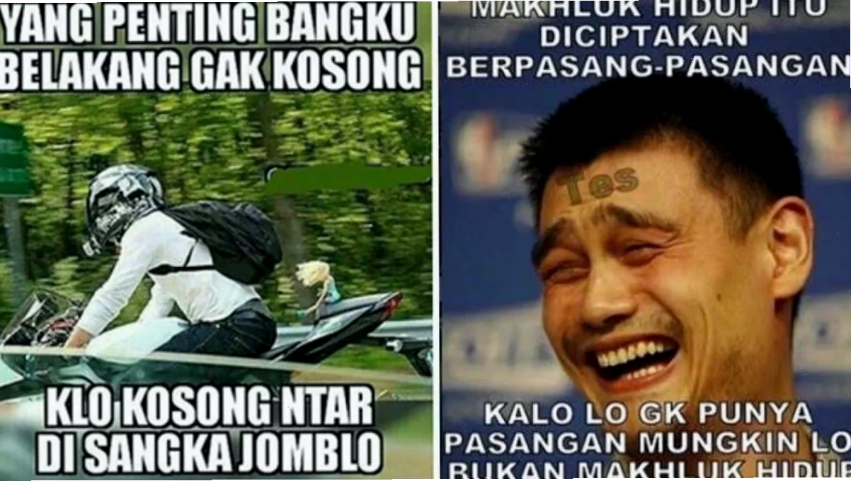 meme kocak ấn tượng