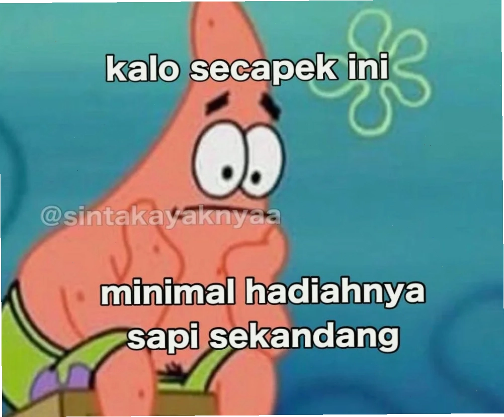 meme kocak độc