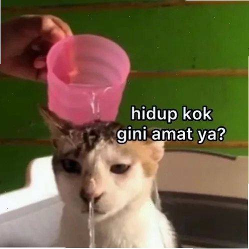 meme kocak lạ