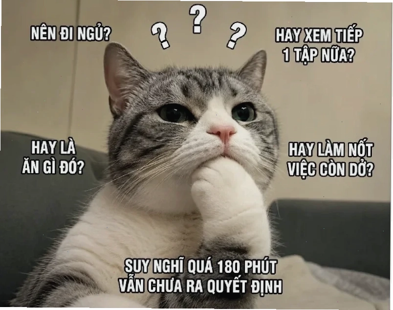 Meme là gì trên facebook hài