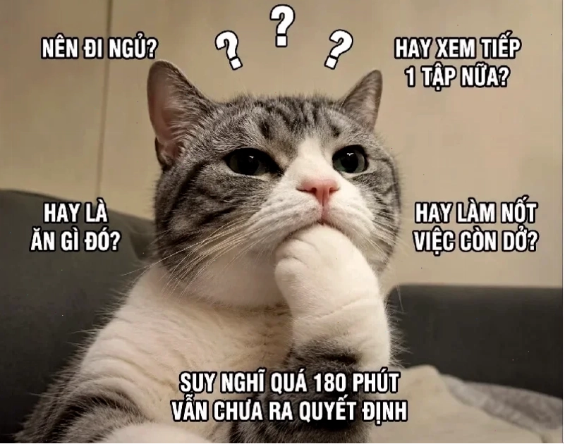 Meme là gì trên facebook hài