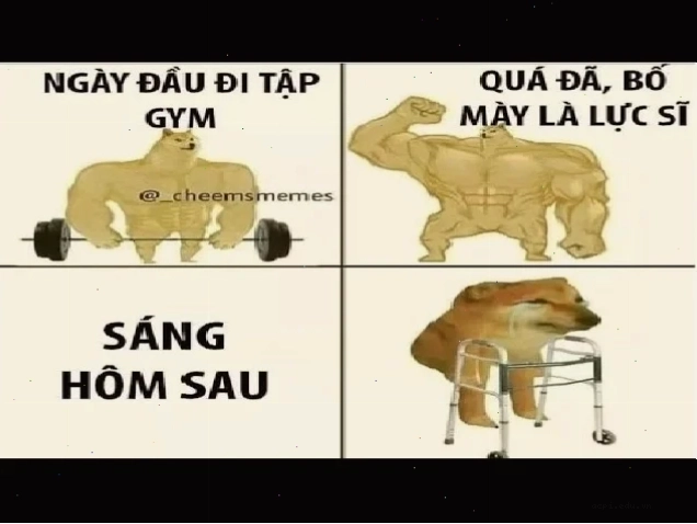 meme lắc đầu
