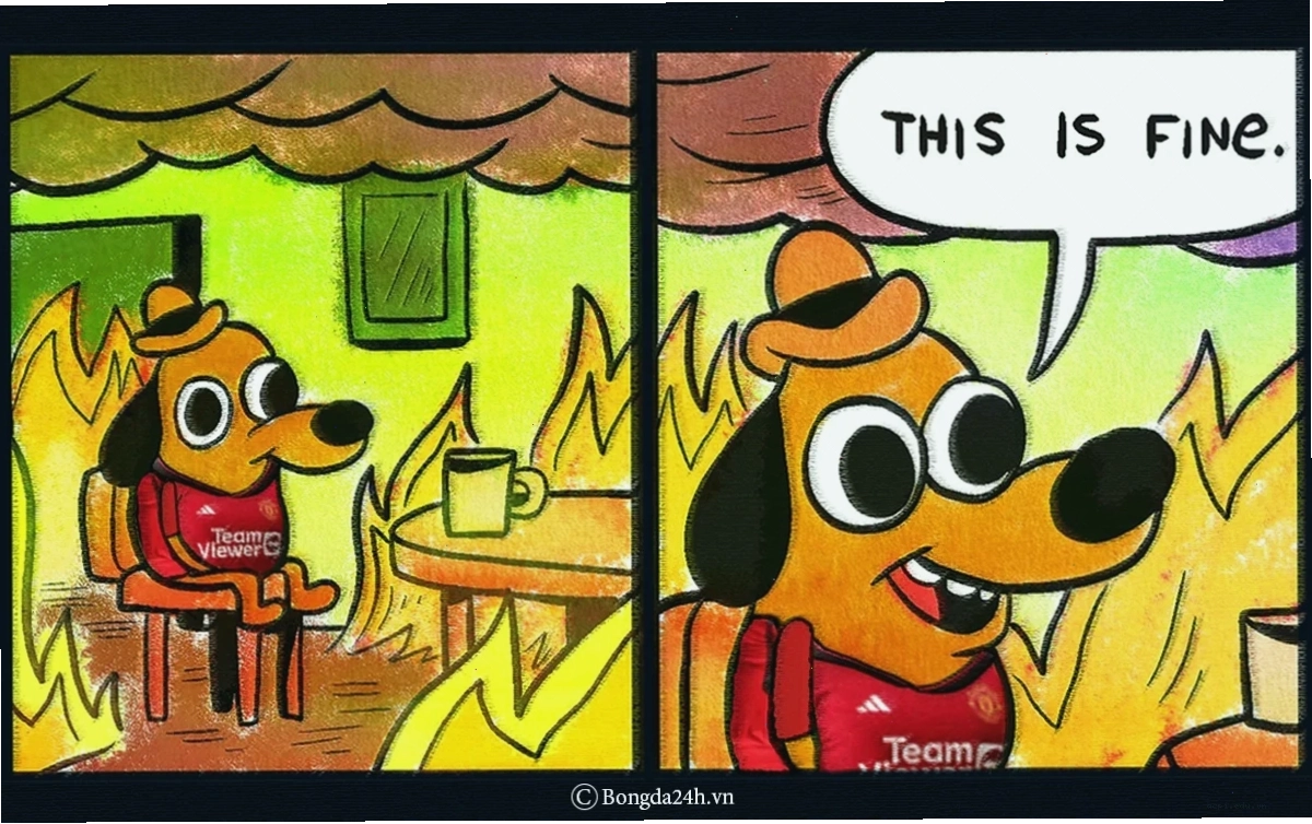 meme lắc đầu