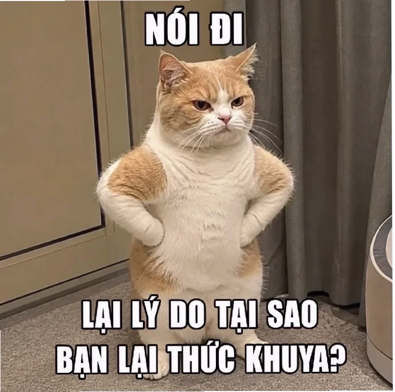 meme lắc đầu ấn độ