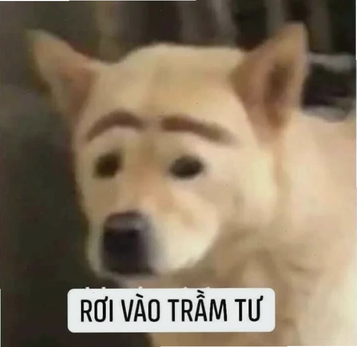 meme lắc đầu ngao ngán