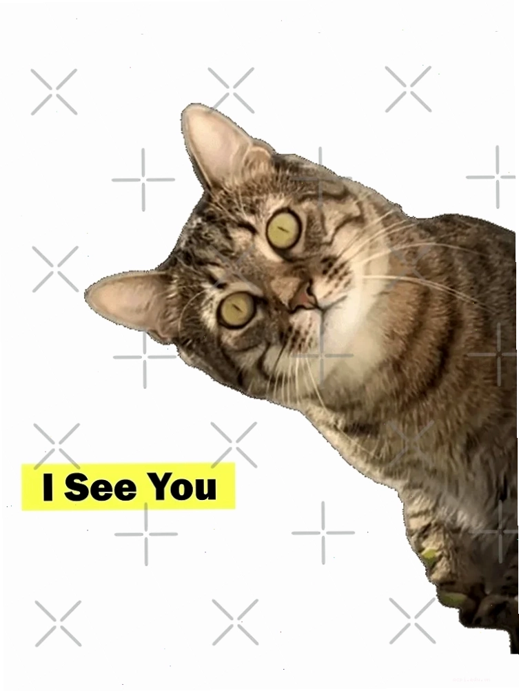 Meme lầy lội