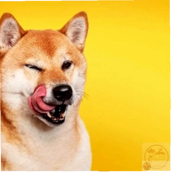 Môi nhí nhố Meme liếm môi nhí nhố