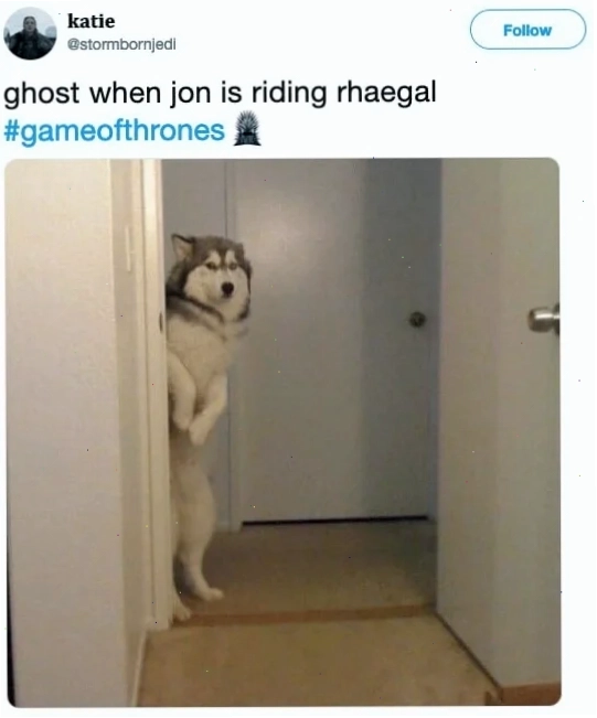meme lo lắng rủi ro