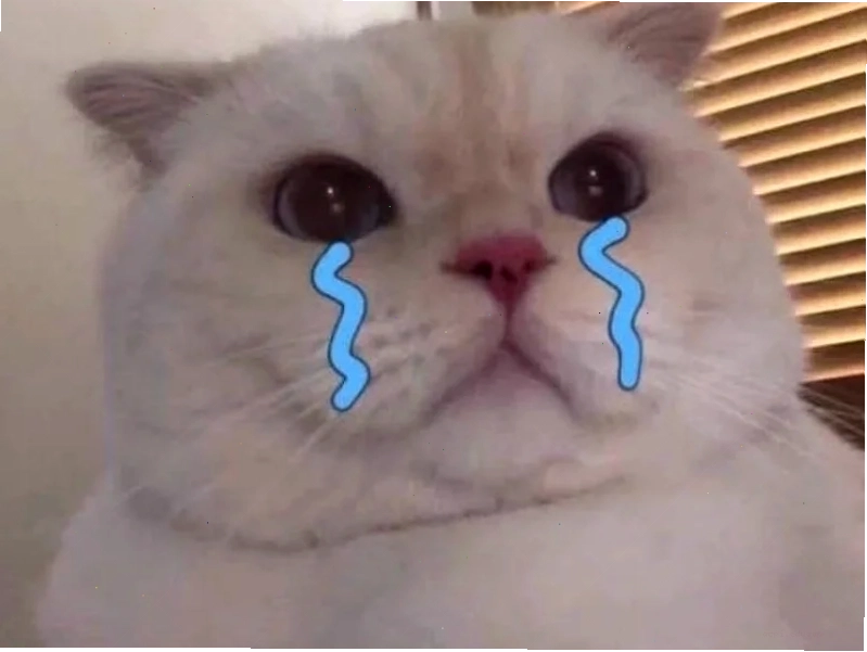 meme lo lắng siết chặt tay