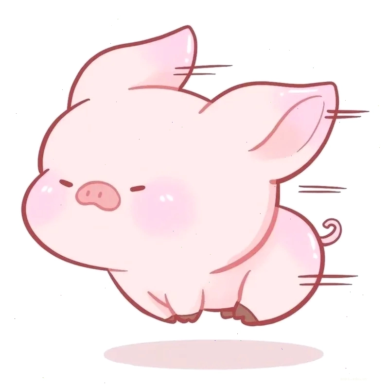 meme lợn ngắm mưa