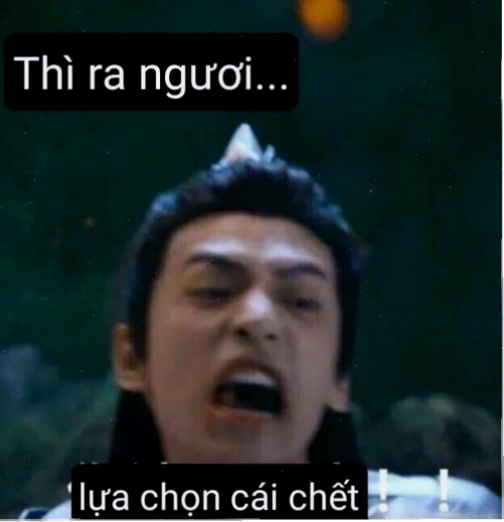 meme lựa chọn