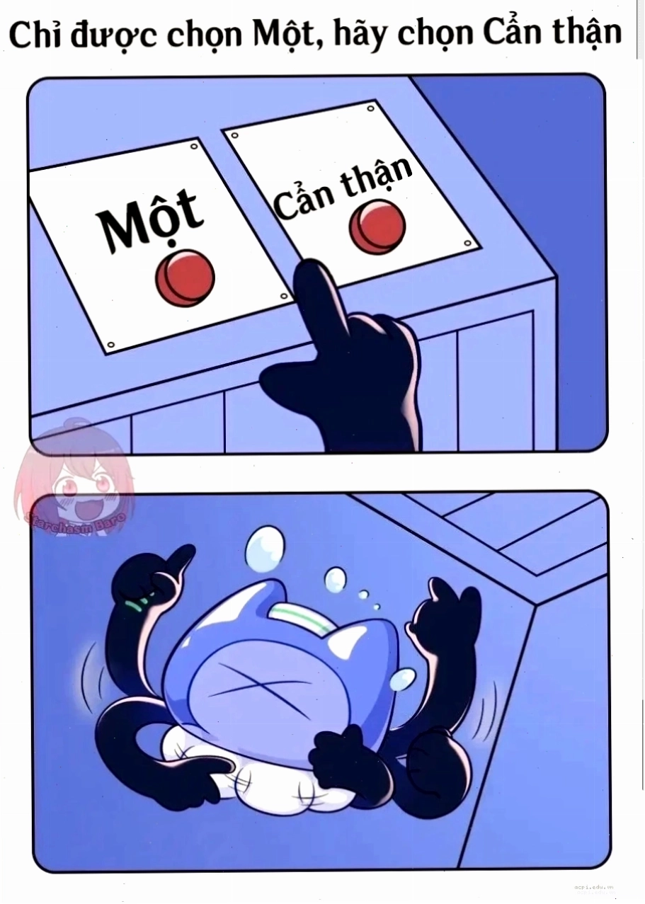 meme lựa chọn 2 viên thuốc