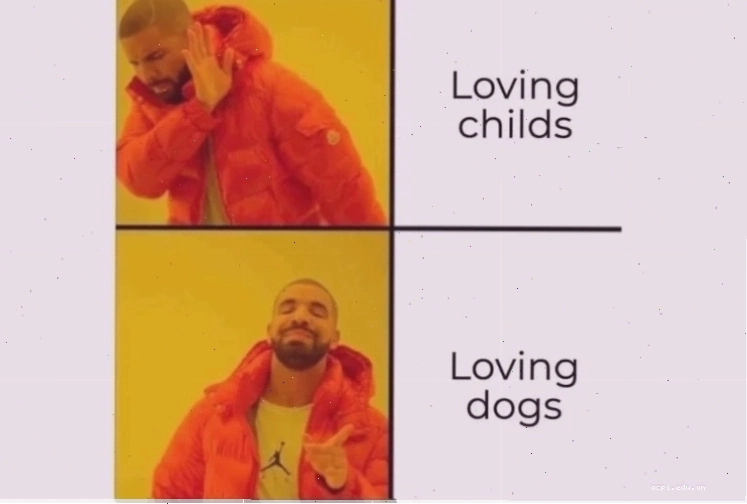 meme lựa chọn