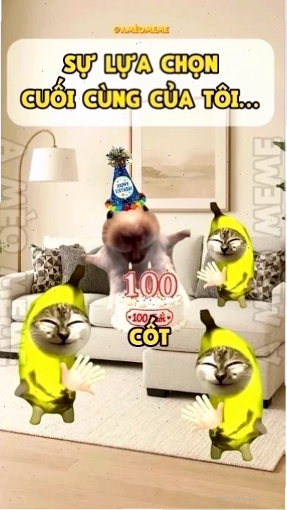 meme lựa chọn