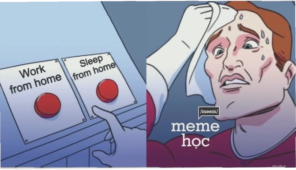 meme lựa chọn