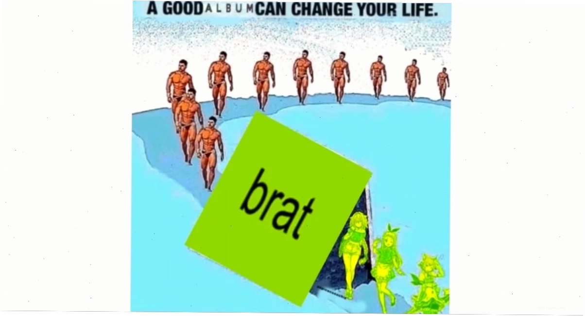 meme lựa chọn