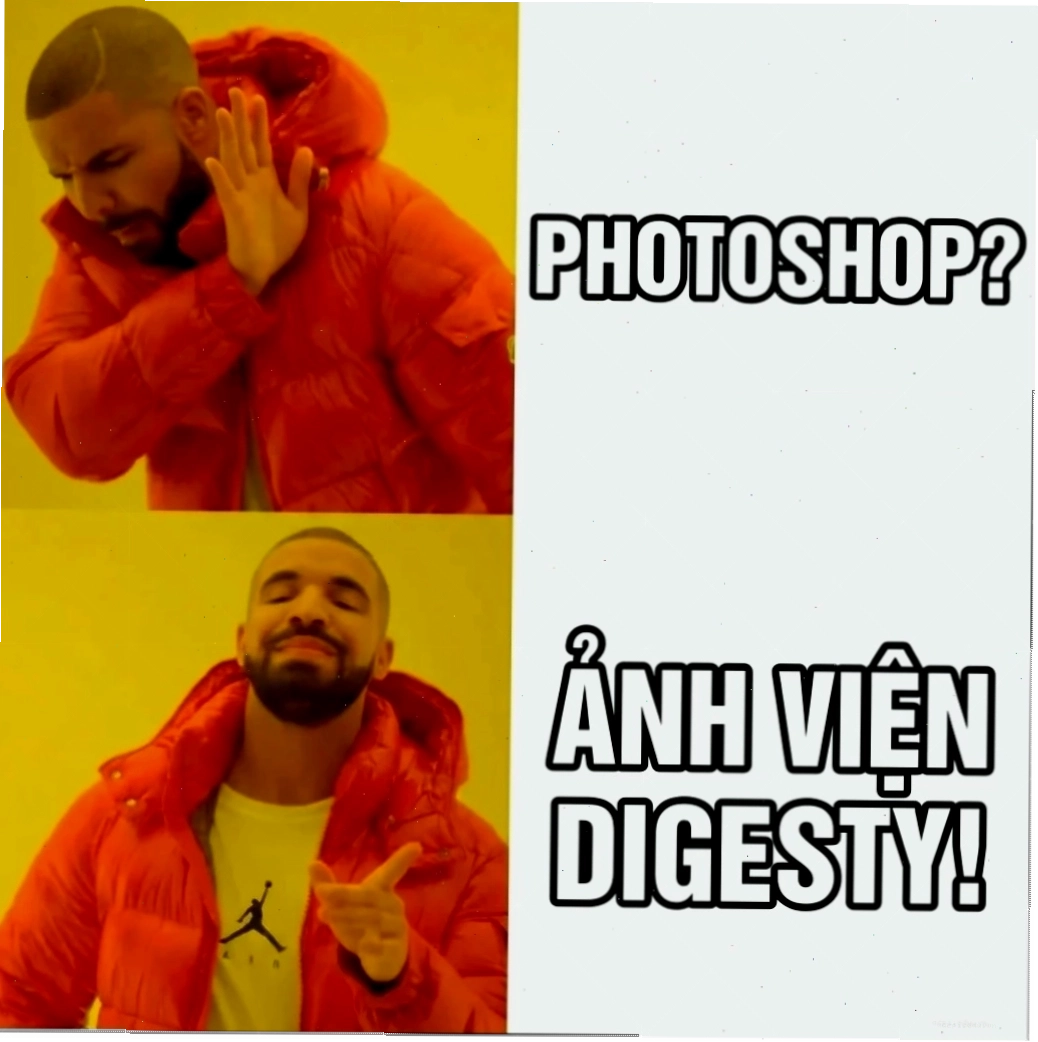 meme lựa chọn