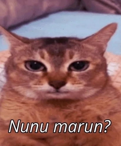 meme lùn đá bóng